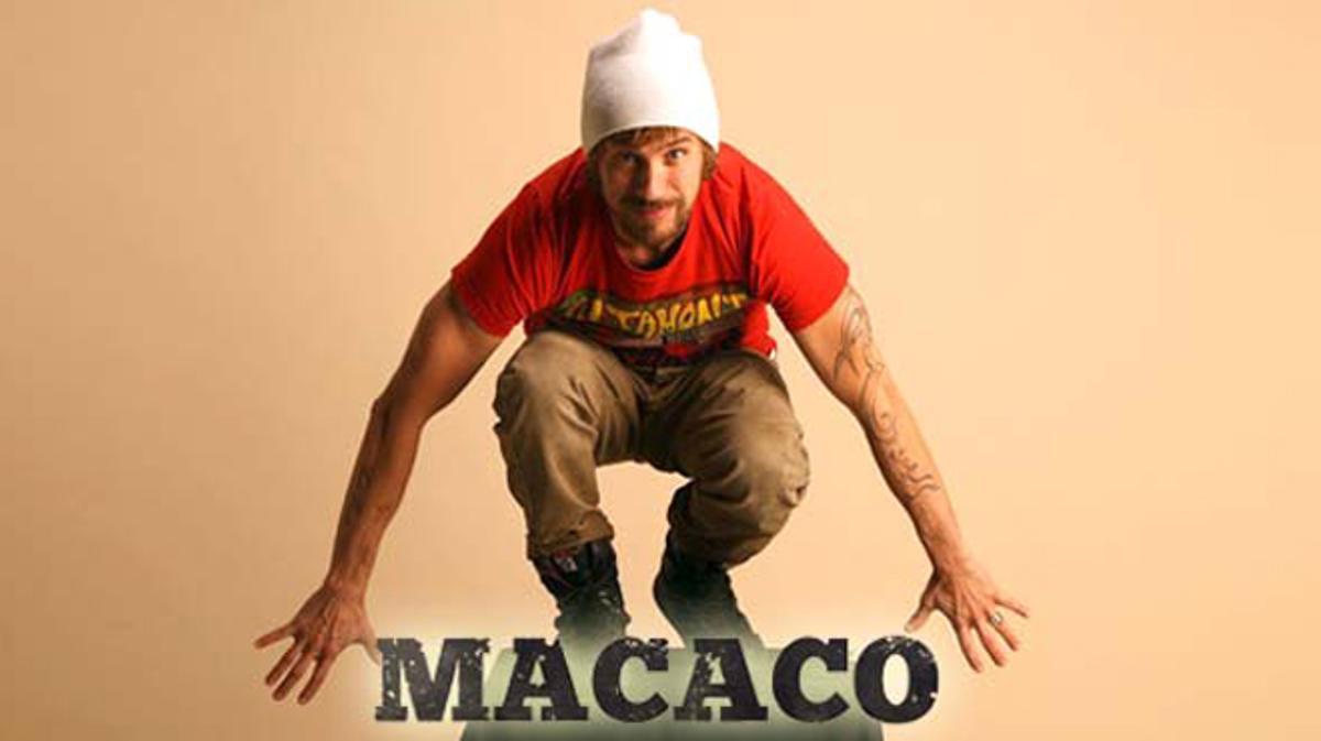Macaco cantant Love is the only way.