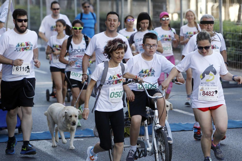 Carrera popular de la Universitat de València