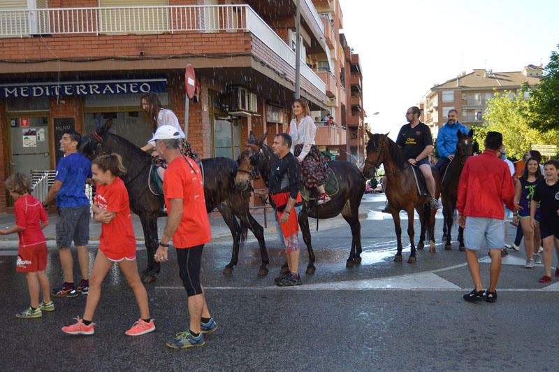 Festa dels Elois 2016