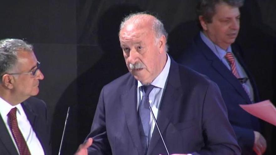 Del Bosque pide a los jugadores de la selección que "se comporten como verdaderos profesionales"