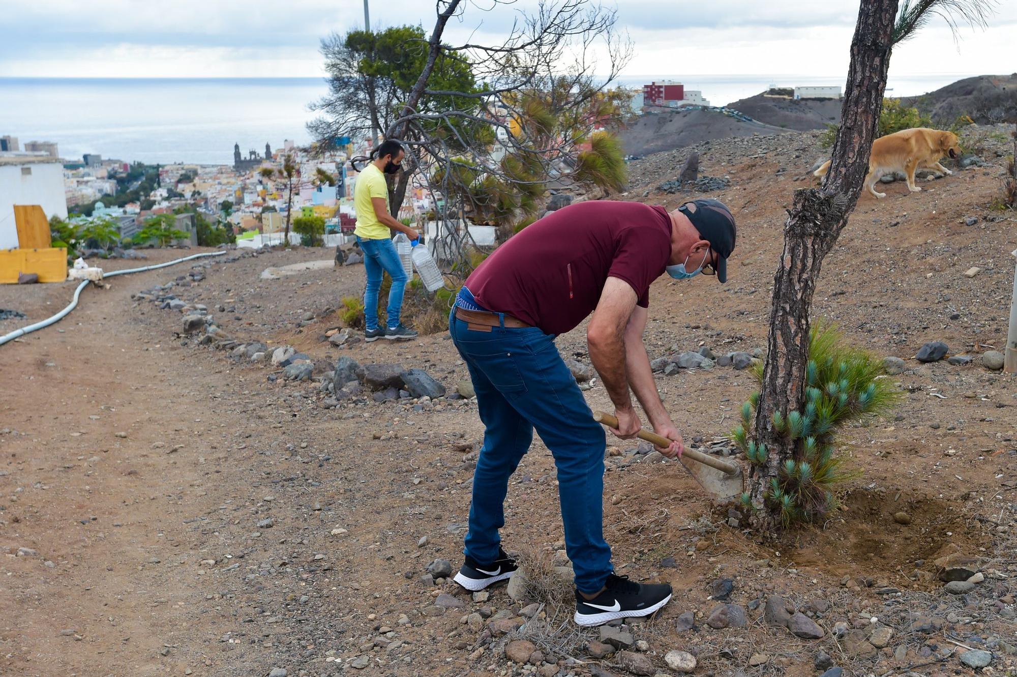 Unos vecinos plantan en un terreno yermo de El Batán