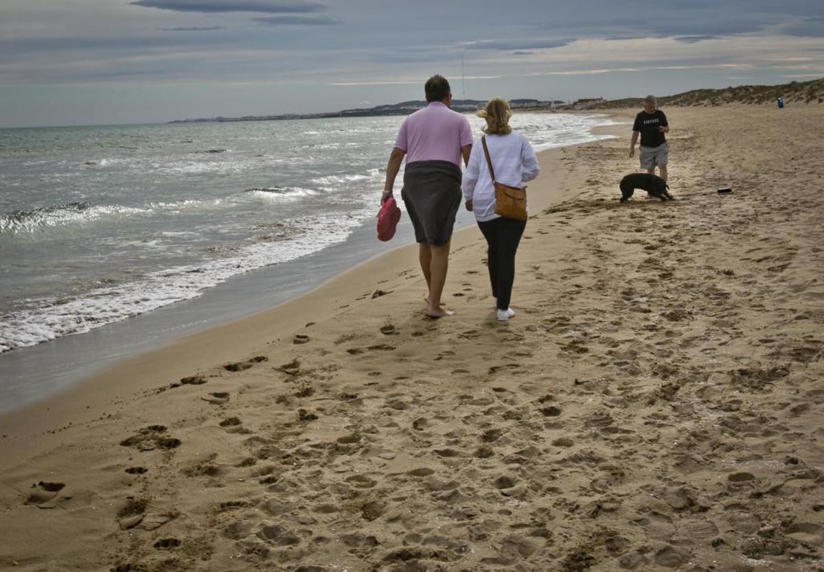 Las mejores playas para perros en la provincia de Alicante