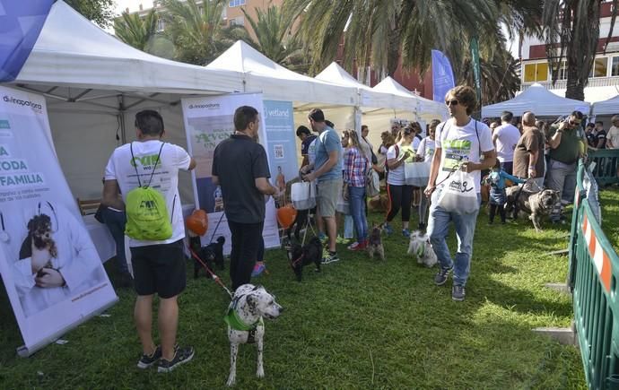 16/12/2018 LAS PALMAS DE GRAN CANARIA. Carrera ...