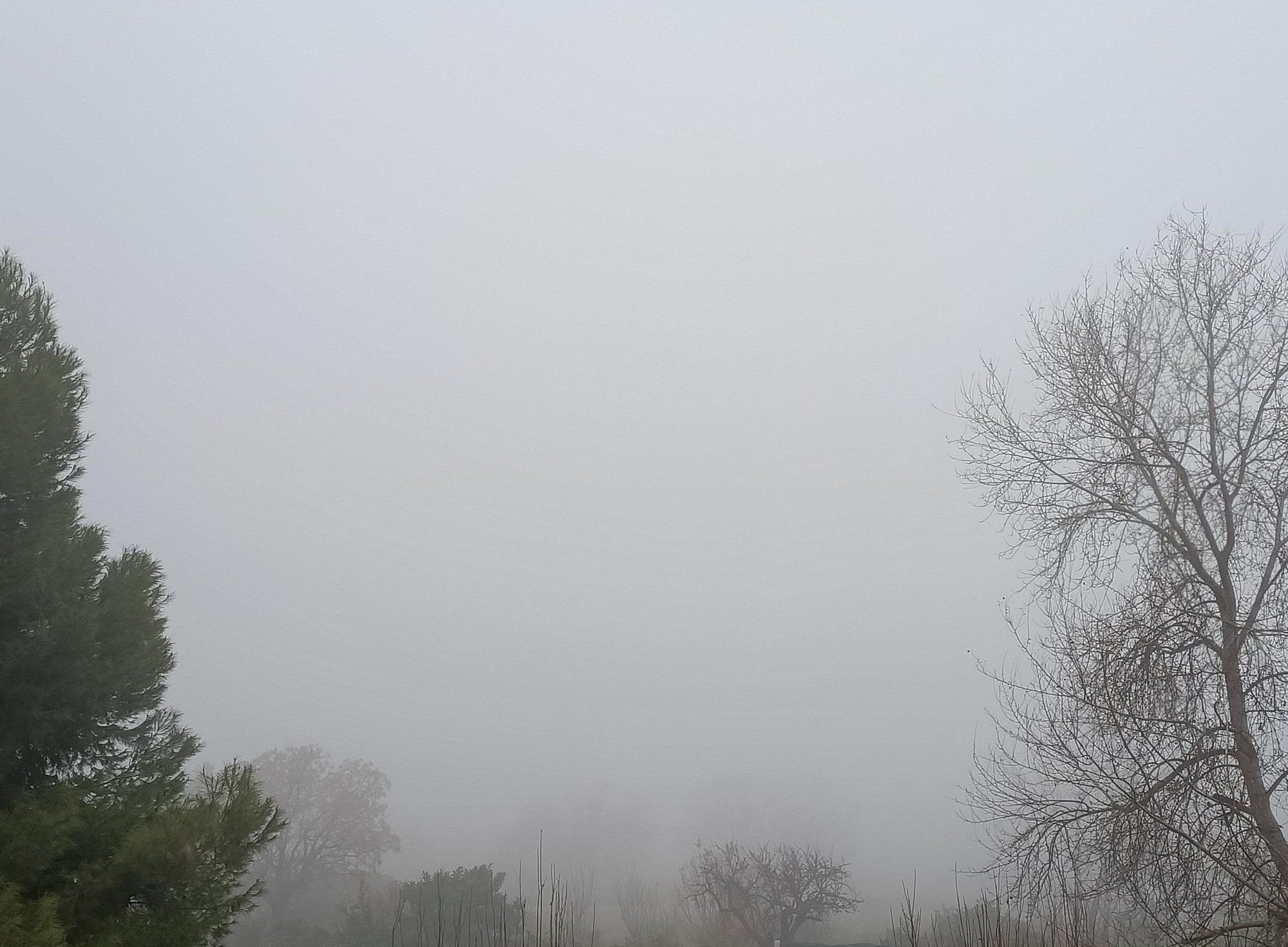 Imágenes de la niebla esta mañana en Murcia