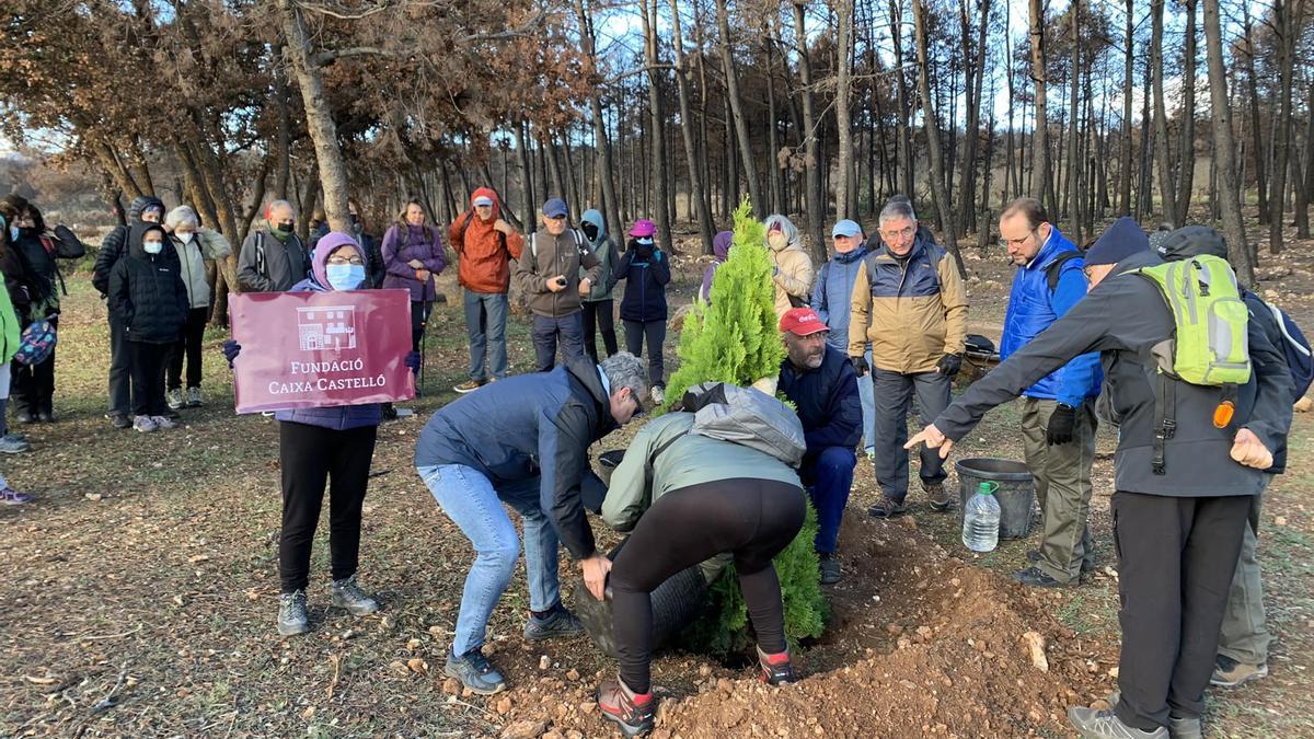 La jornada concluyó con la plantación de un árbol como símbolo.