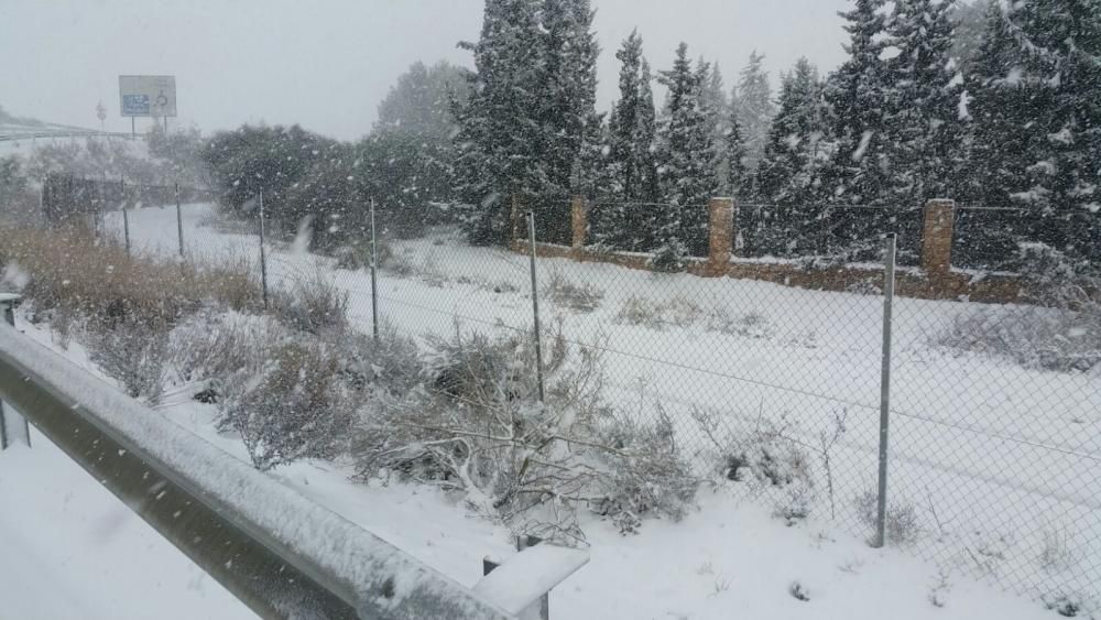 La nieve tiñe de blanco Murcia