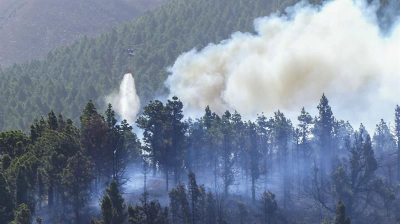 Incendio forestal en la zona de Montaña de Jedey