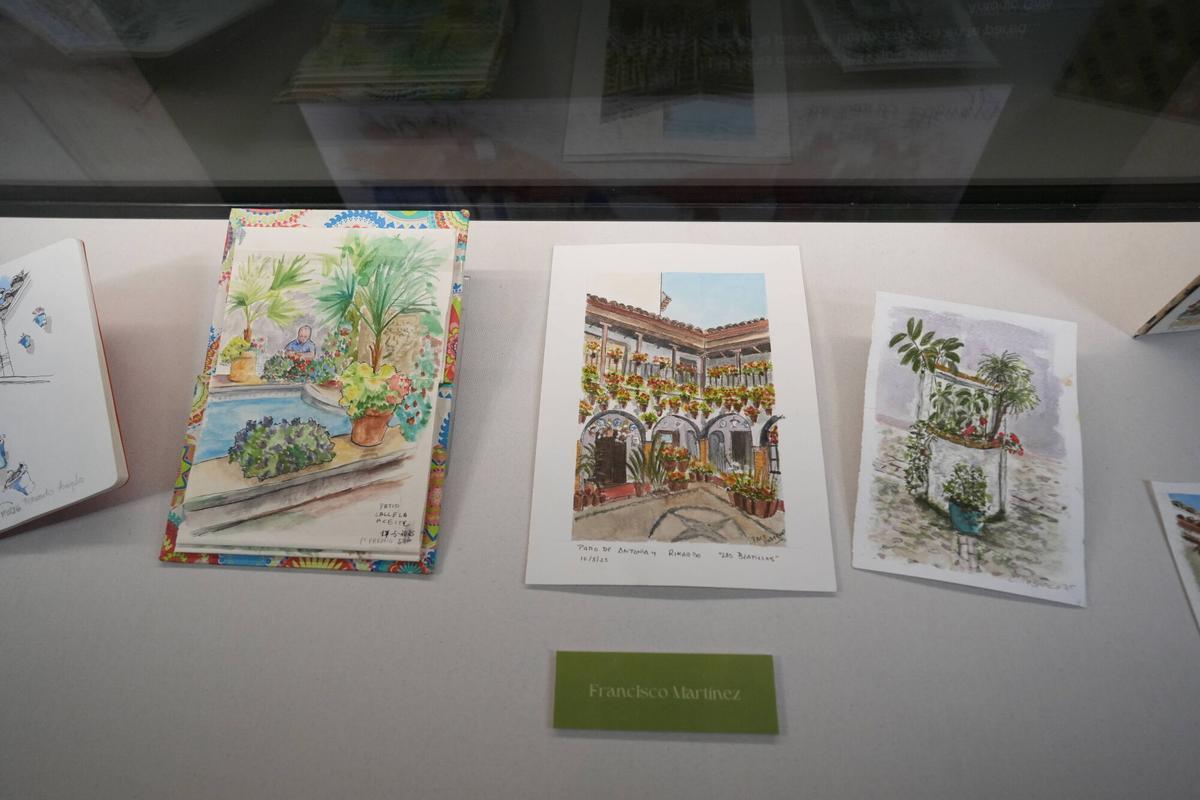 Algunos de los dibujos del movimiento de Urban Skechers Córdoba sobre la fiesta de los Patios.