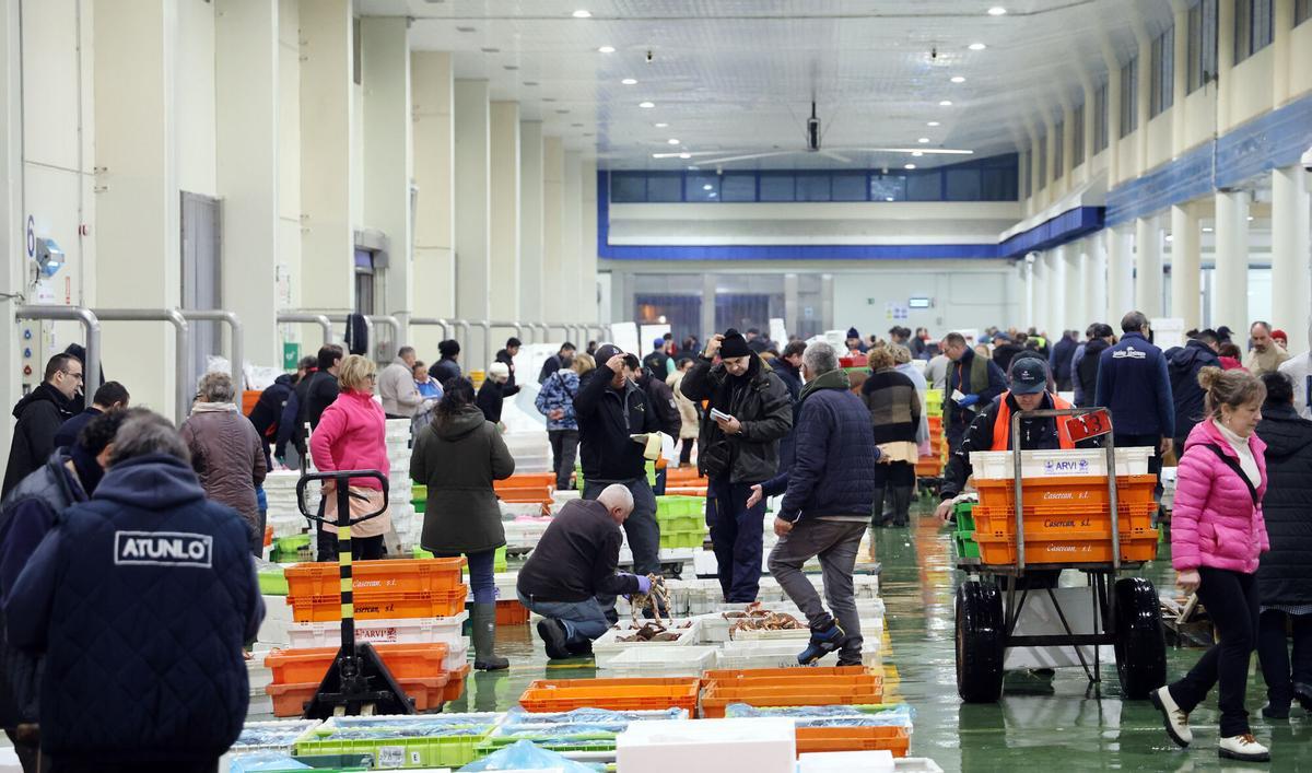 VIGO (PUERTO PESQUERO DEL BERBES). DESCARGA DE PESCADO DESDE BARCOS, Y SUBASTAS EN LA LONJA (DE ALTURA Y BAJURA) Y EN EL MERCADO. SEGUNDAS SUBASTAS. FOTO DE RECURSO. PESCA. PUJA. VENTA