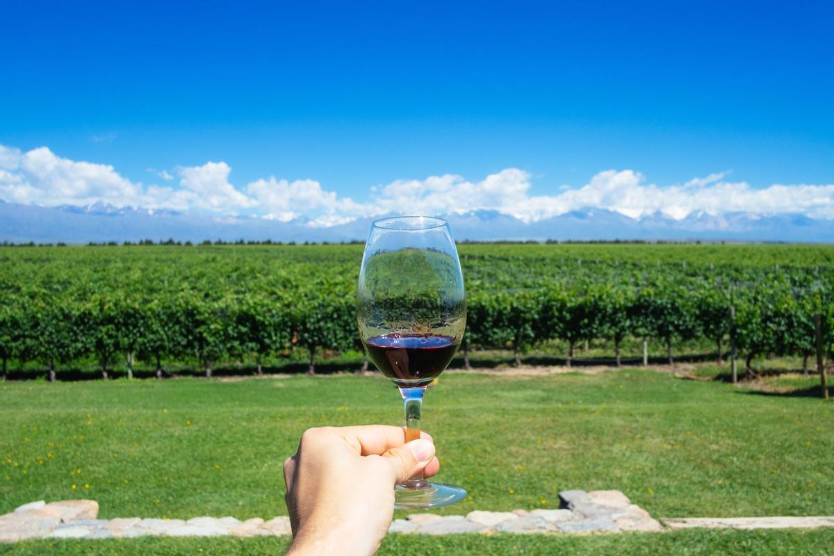 Imagen de bodegas en Mendoza.