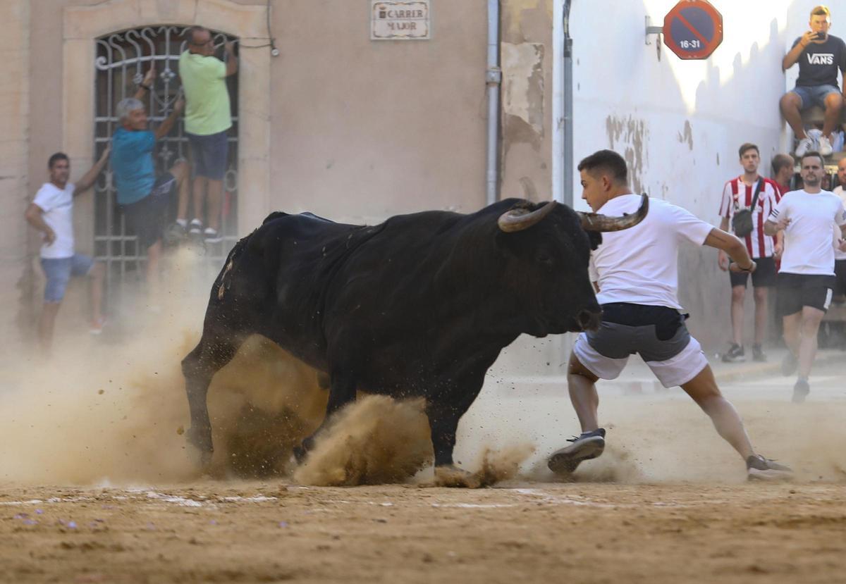 Imagen de un festejo de 'bous al carrer' en Benifairó de les Valls.