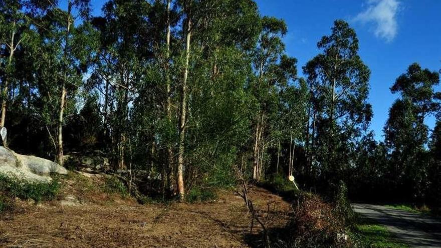 La parcela donde se quiere instalar la planta de reciclaje. // Iñaki Abella