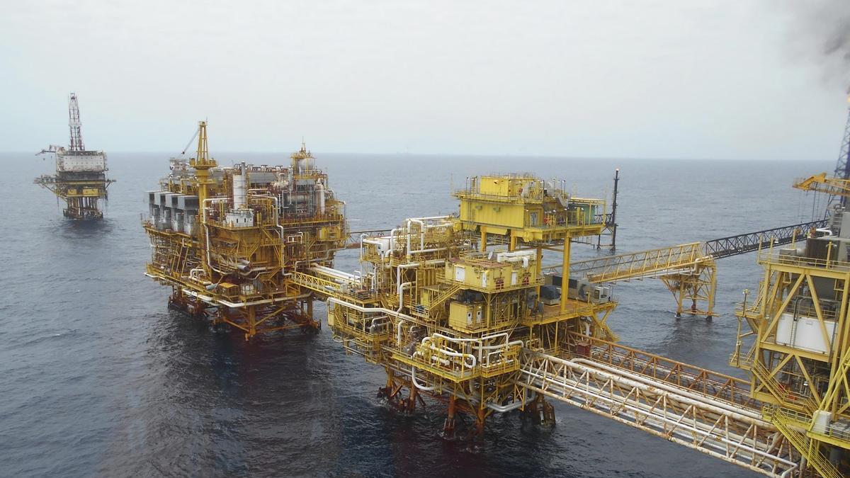 DESPROTECCIÓN ESPECIES | EEUU desprotege las especies en peligro de extinción en el Golfo de México para extraer petróleo DESPROTECCIÓN ESPECIES | EEUU desprotege las especies en peligro de extinción en el Golfo de México para extraer petróleo