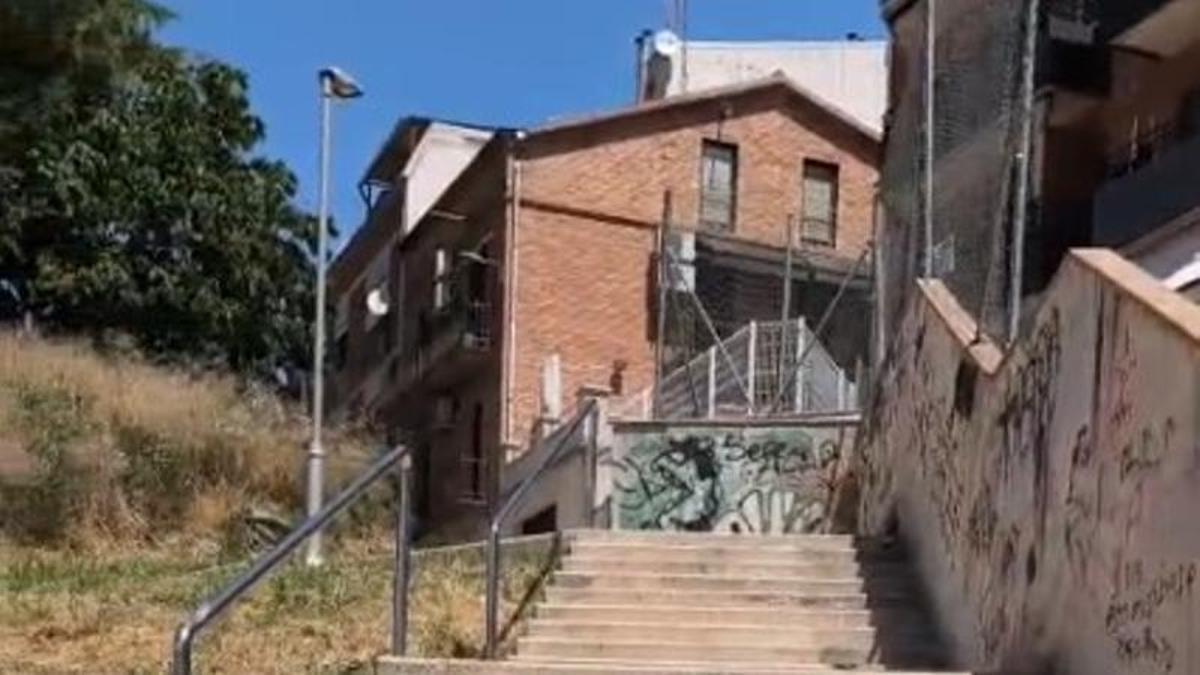 Les escales plenes de pintades