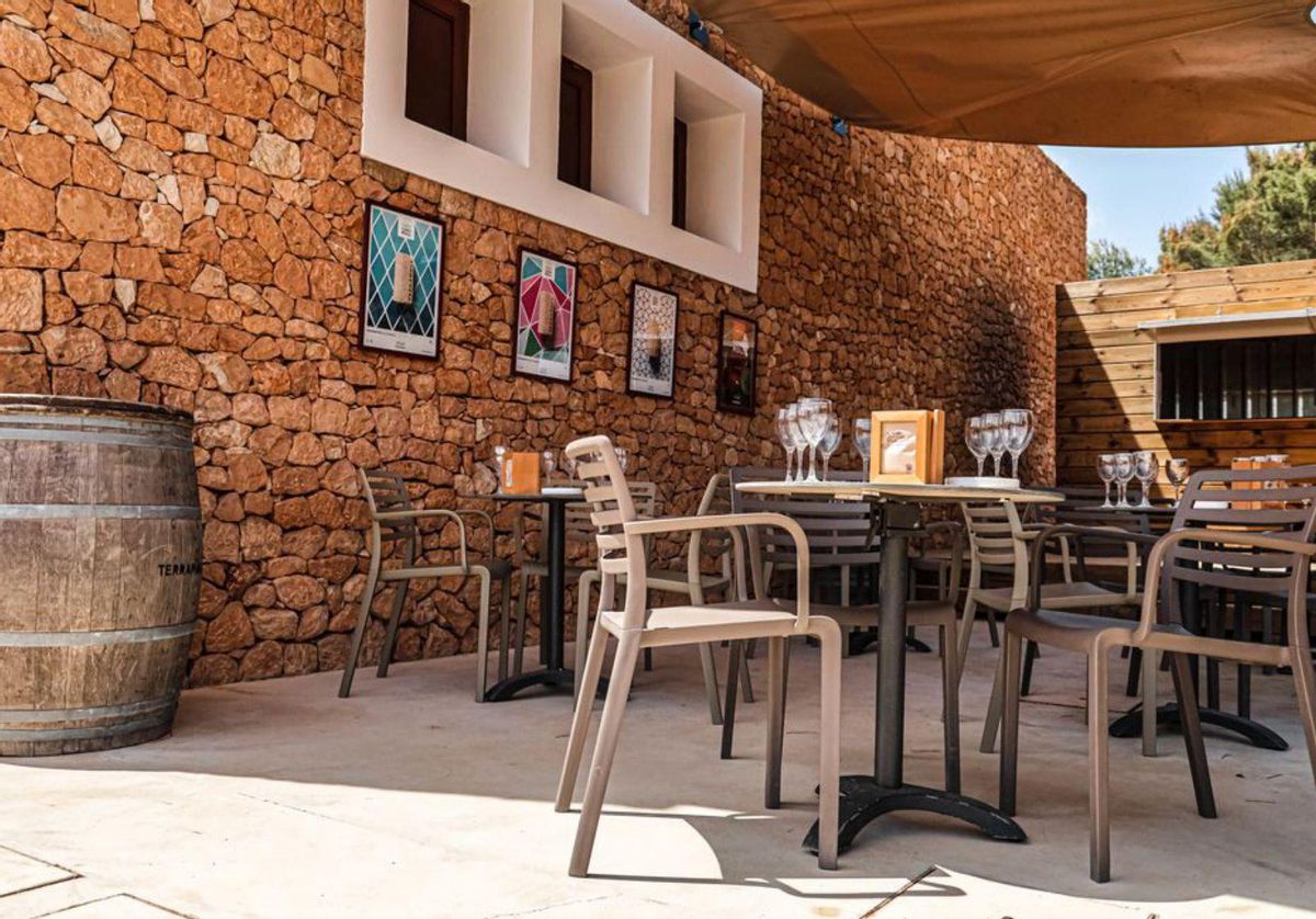 Espacio acondicionado para las catas en la bodega de Formentera. | TERRAMOLL