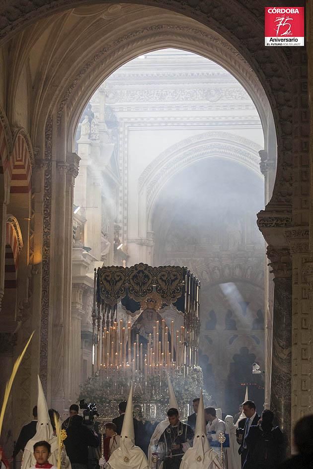 FOTOGALERÍA / Hermandad de Nuestro Padre Jesús de los Reyes en su Entrada Triunfal en Jerusalén