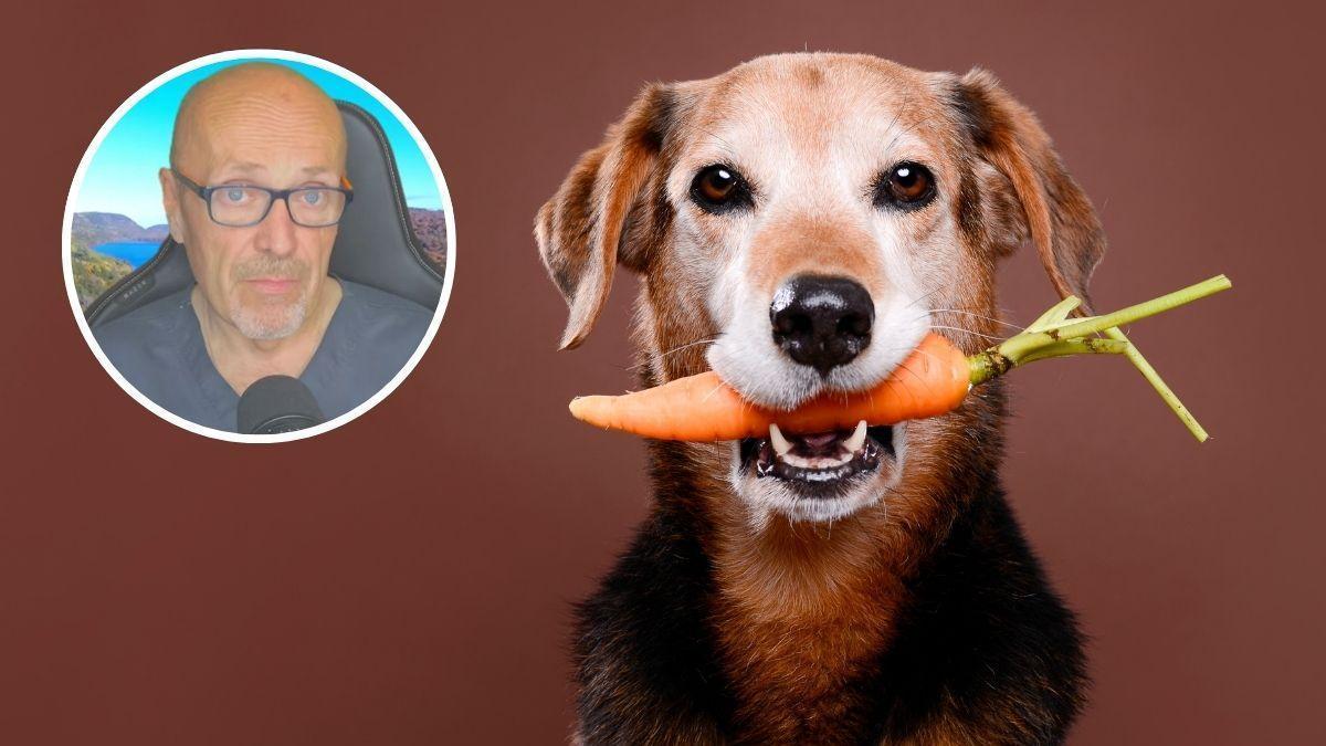 El alimento barato que Manuel Manzano destaca para perros: “Es un superalimento”