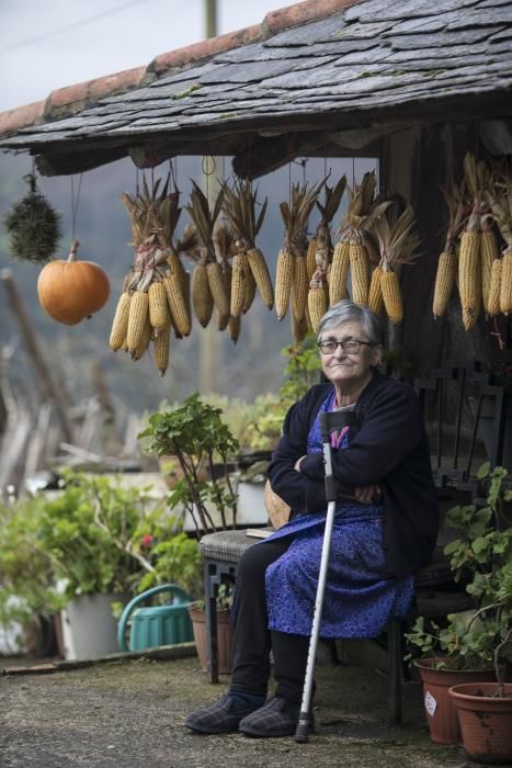 Los concejos del occidente de Asturias, considerados como los más saludables