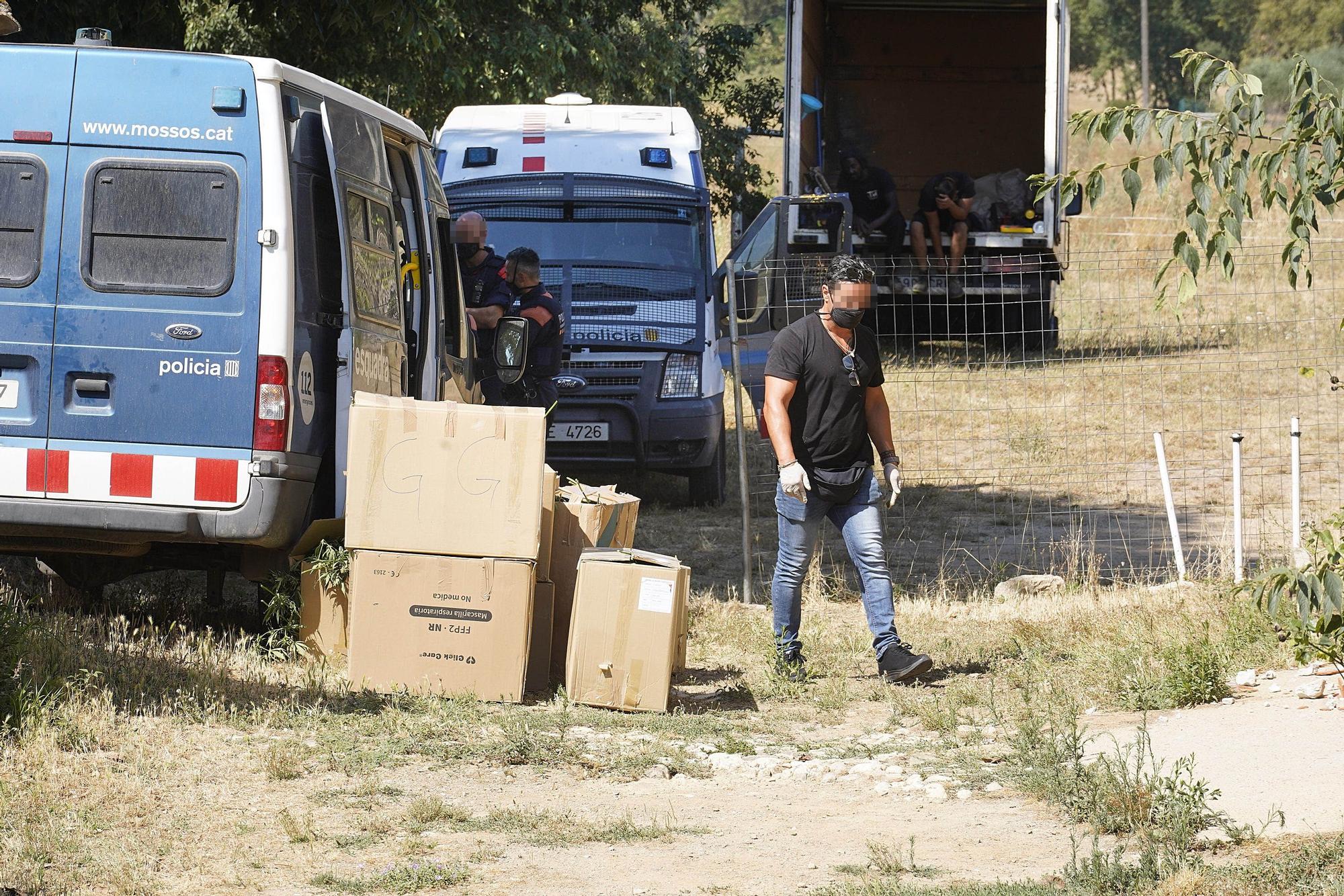 Plantació de marihuana en un mas de Quart