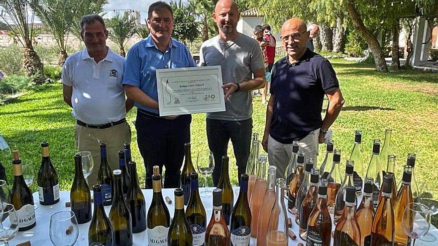 Cata en Casa Sicilia | INFORMACIÓN