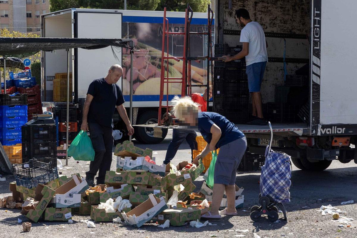 _MGL6605.jpg _MGL6605.jpg