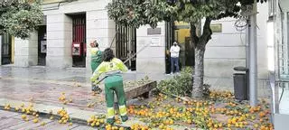 El amargo fin de las naranjas