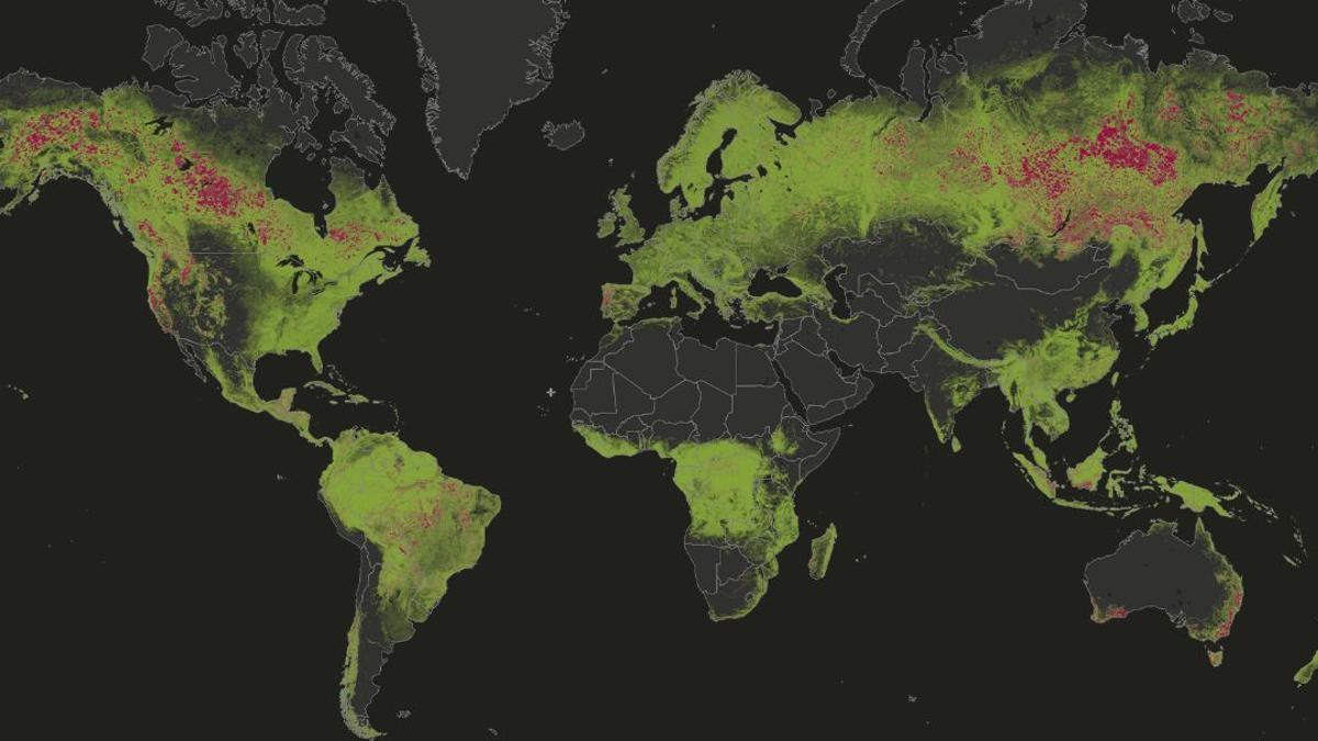 Pérdida de cobertura arbórea debido a incendios visualizados en el mapa GFW, 2001-2021.