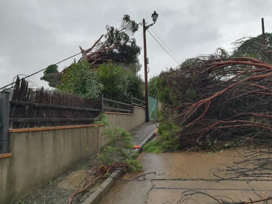 Destrosses a Riells i Viabrea per un tornado