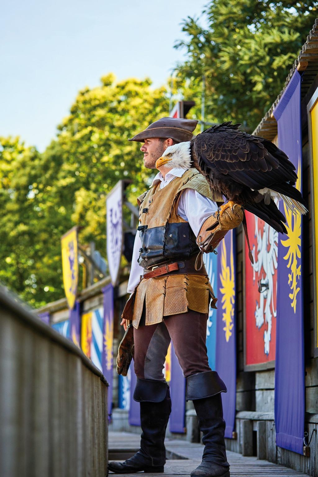 Cetrero con un águila de cuello blanco.