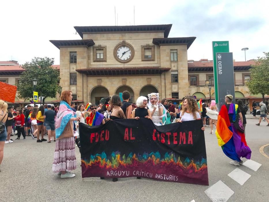 Oviedo sale a la calle para celebrar la fiesta del Día del Orgullo LGTB