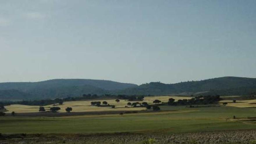 Declaran una reserva de fauna silvestre de casi trece hectáreas en Villena