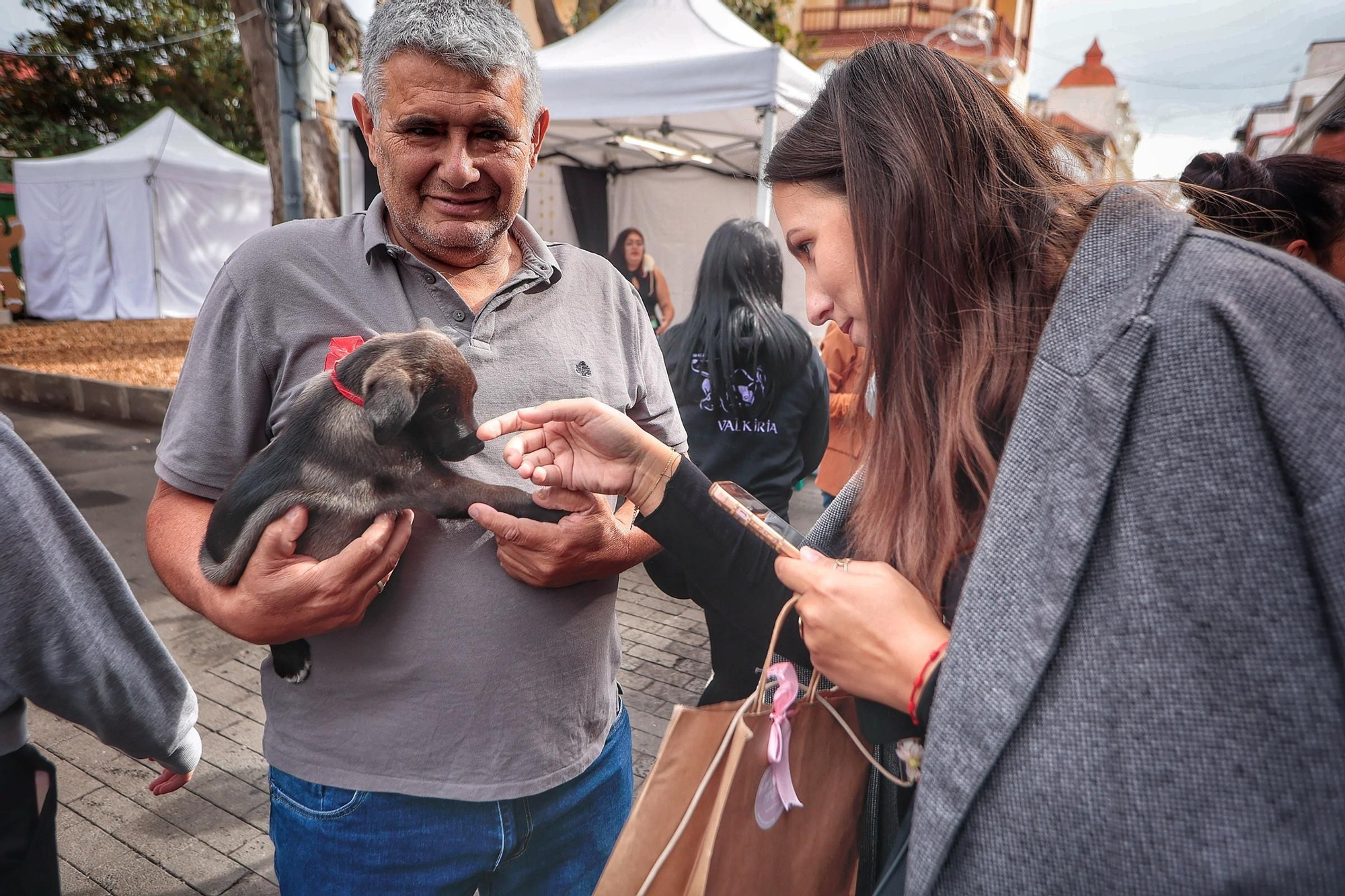 Feria de la Adopción Responsable de Animales de Compañía