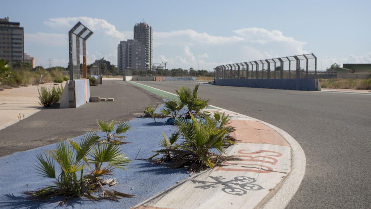 El deteriorat circuit de la Fórmula 1 a València.