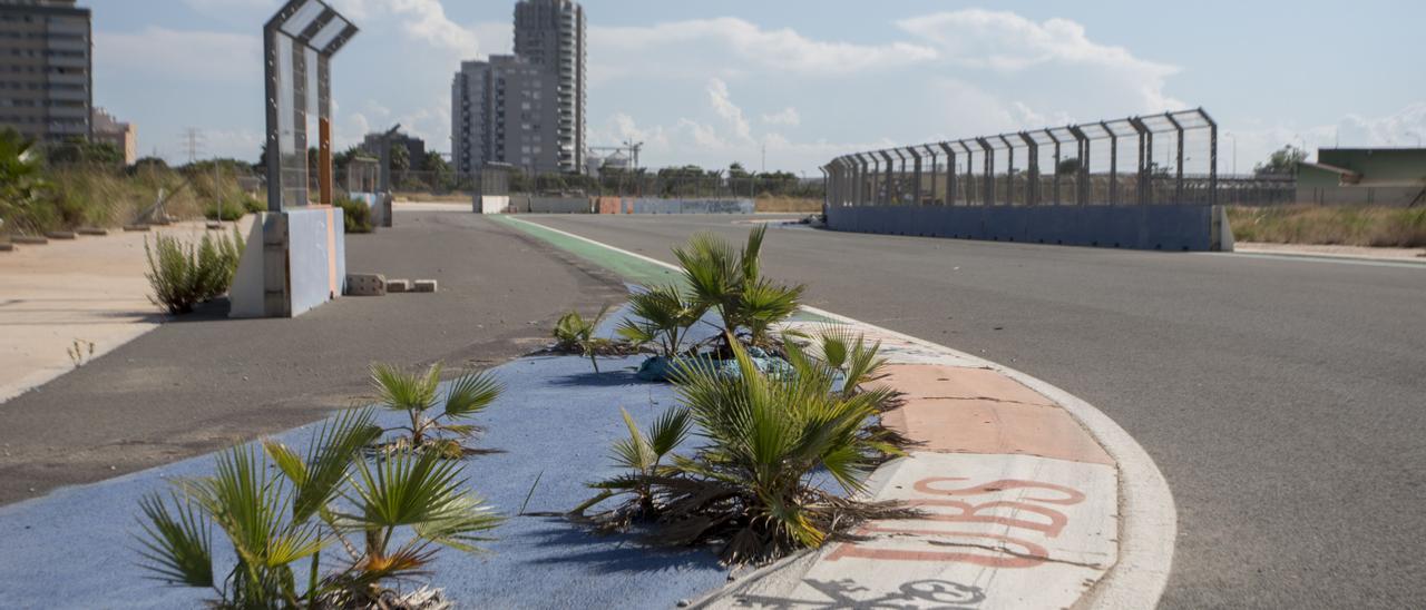 El deteriorado circuito de la Fórmula 1 en València.