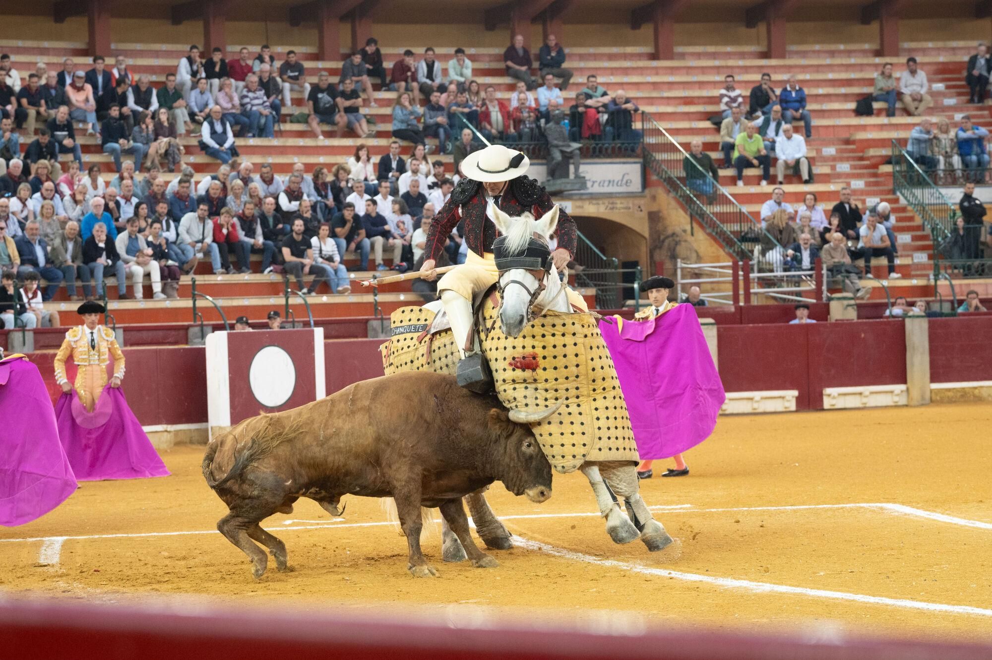 Concurso de ganaderías de la Feria del Pilar