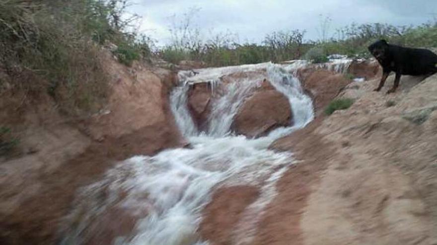 El &quot;río&quot; procedente de la tubería, en Orihuela Costa.