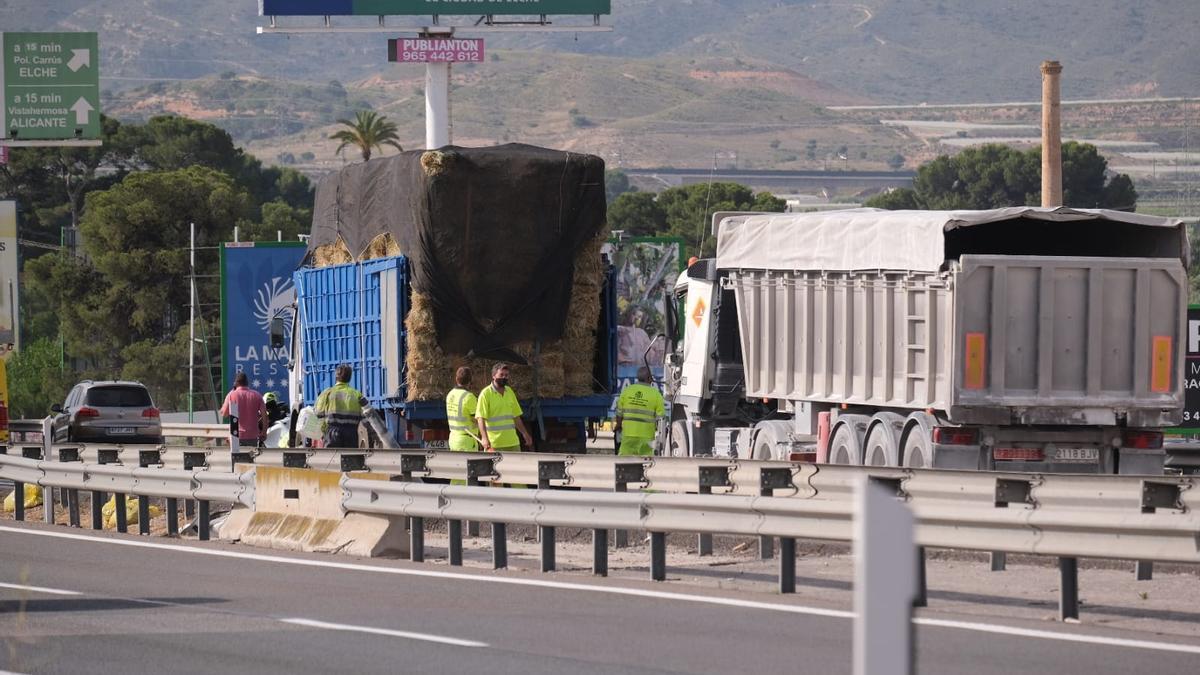 Los dos camiones siniestrados en Monforte del Cid.