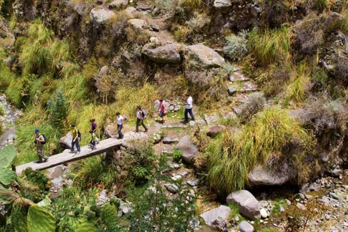 Cañón del Río Colca, Perú