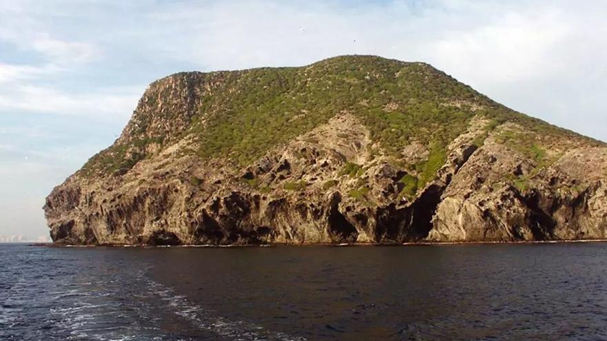 Isla Grosa y El Farallón estrenan vigilancia estival