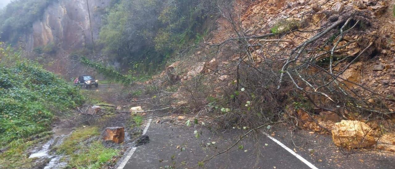 El argayo del río de las Cabras que se produjo ayer, bloqueando el paso a un vehículo que circulaba en sentido Llanes-Onís. | M. Villoria