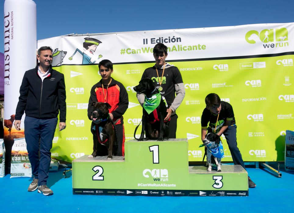 Can We Run: Gran carrera de perros para la concienciación animal