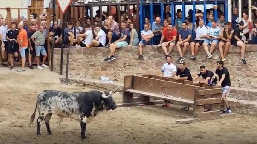 Los toros de Vilafamés ofrecen una emocionante jornada