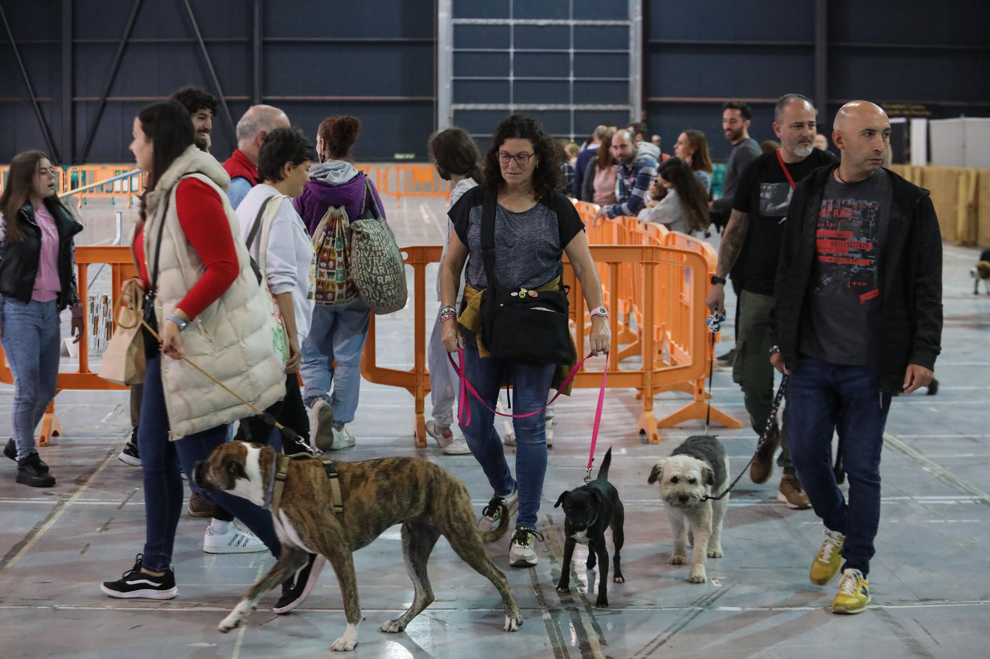En imágenes: Inicio de la feria Espacio Mascotas en Gijón - La Nueva España