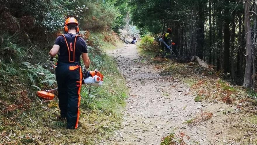 Operarios levando a cabo traballos de xestión da masa forestal nun monte do municipio da Pobra do Caramiñal / concello da pobra