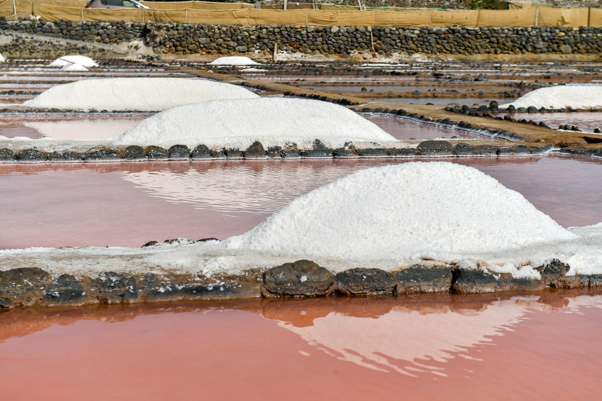 Salinas de Vargas