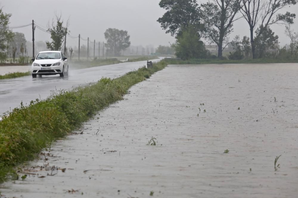 Camps inundats a Serra de Daró