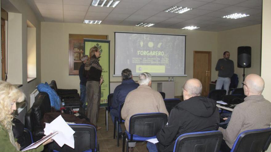 Reunión del proyecto Forgarero de gestión forestal celebrada ayer. | ARACELI SAAVEDRA