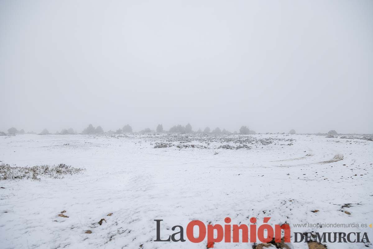 Nieve en el Noroeste