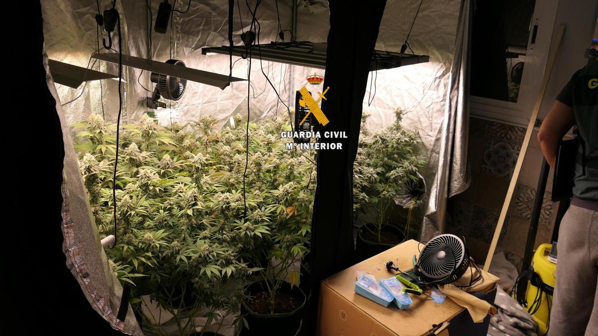 Zona habilitada como cultivo.
