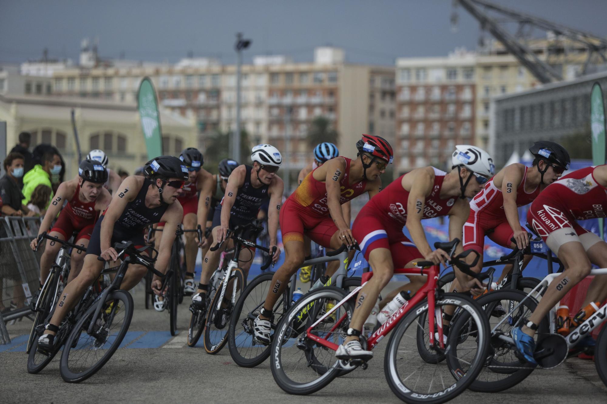 Campeonato de Europa de Triatlón élite masculino de Valencia